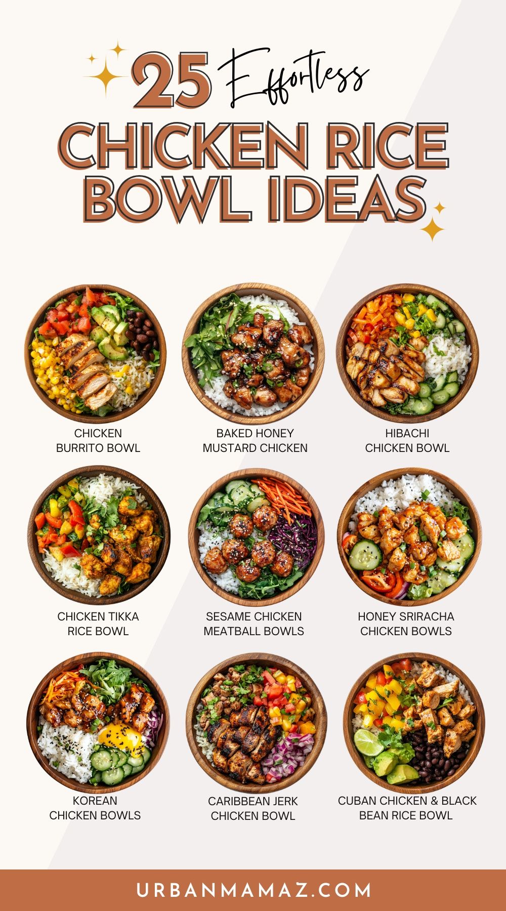 Lunch Rice Recipes
