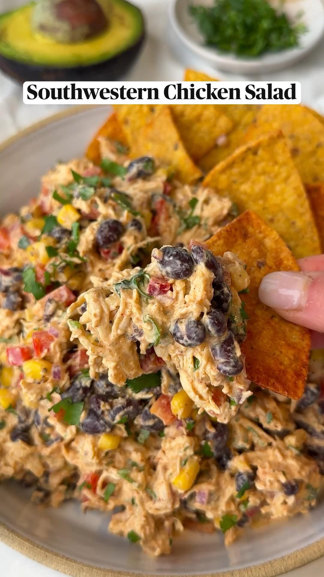 Meals Without Cheese