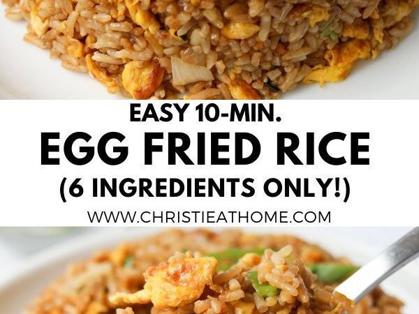 fried rice no veggies