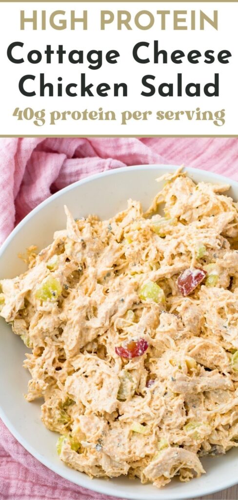 pregnancy meals high protein