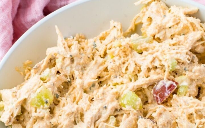 pregnancy meals high protein